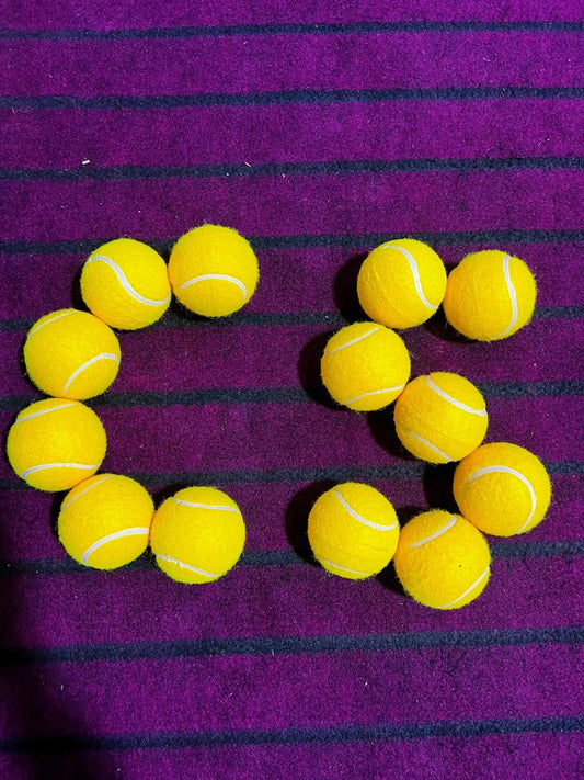 Premium Century Sports 12 Balls