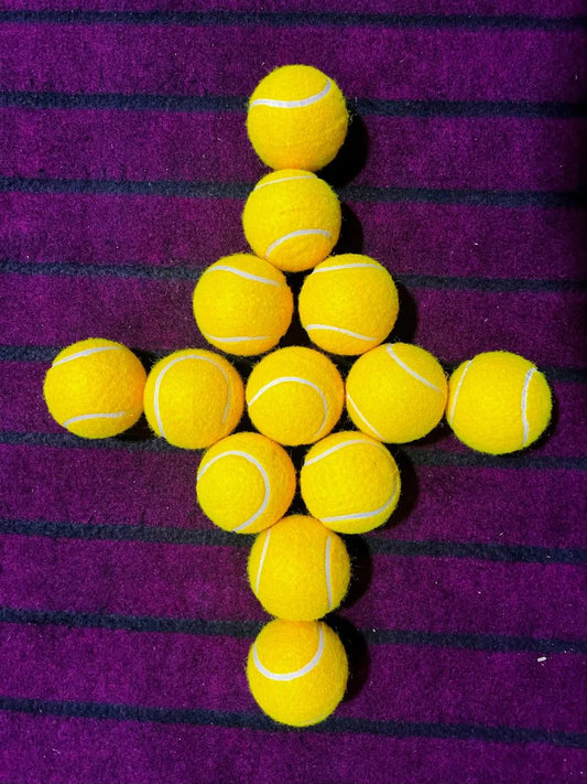 Premium Century Sports 12 Balls